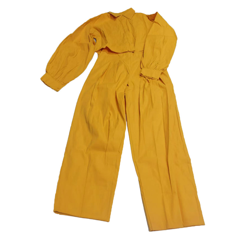 Women's Casual Work 2 Piece Set Bell Long Sleeve Shirt Harem Pant Outfits