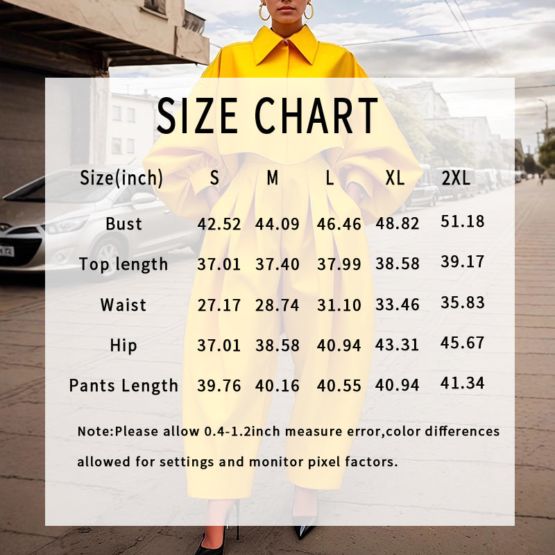 Women's Casual Work 2 Piece Set Bell Long Sleeve Shirt Harem Pant Outfits