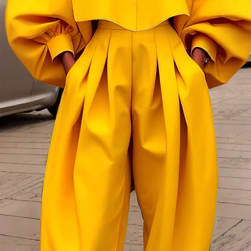 Women's Casual Work 2 Piece Set Bell Long Sleeve Shirt Harem Pant Outfits